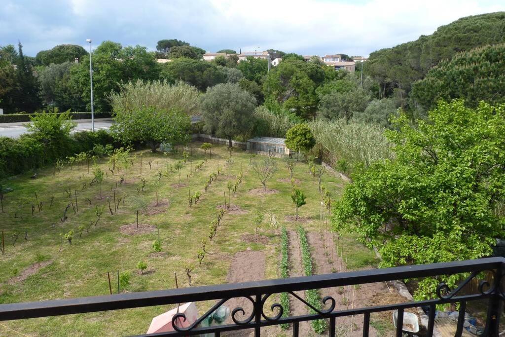 Appartement Independant Dans Villa, Entre Frejus Et St Raphael Exterior photo
