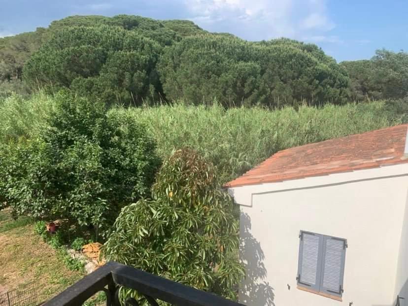 Appartement Independant Dans Villa, Entre Frejus Et St Raphael Exterior photo